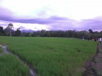 Sustainable-organic-agriculture2-200x150 The Jesuit mission in Bukidnon: Caring for Lumads