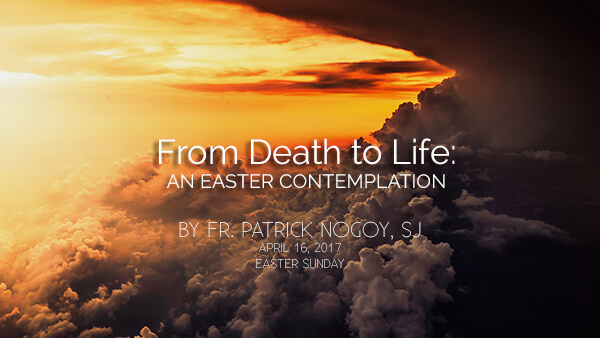 From Death to Life: An Easter Contemplation (Easter Sunday)