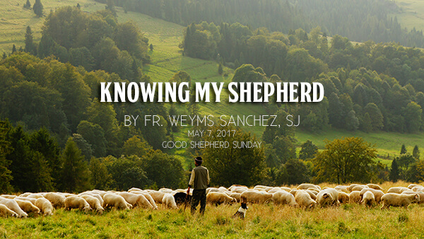 Knowing My Shepherd (Good Shepherd Sunday)