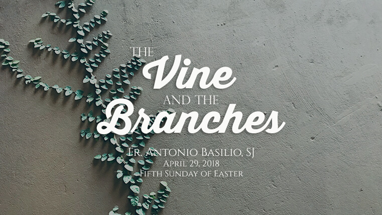 The Vine and the Branches (5th Sunday of Easter)