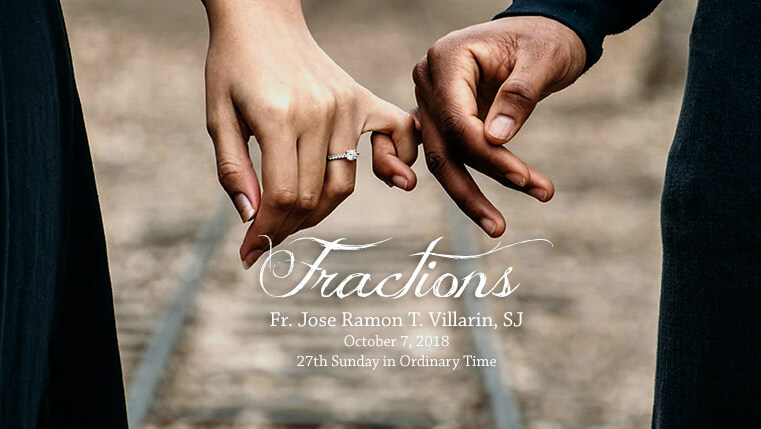 Fractions (27th Sunday in Ordinary Time)