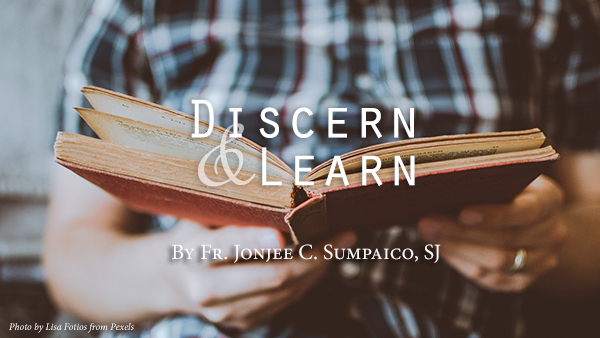 Discern and Learn (13th Sunday in Ordinary Time)