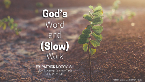 God’s Word and (Slow) Work